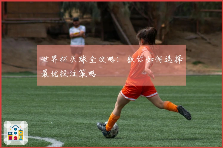 世界杯买球全攻略：教你如何选择最优投注策略