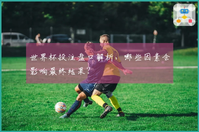 世界杯投注盘口解析，哪些因素会影响最终结果？