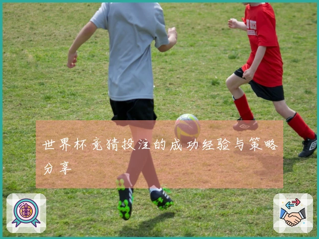 世界杯竞猜投注的成功经验与策略分享