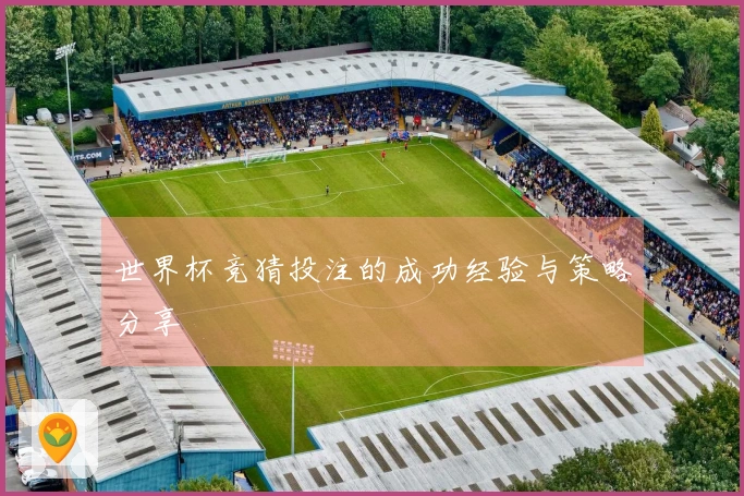 世界杯竞猜投注的成功经验与策略分享