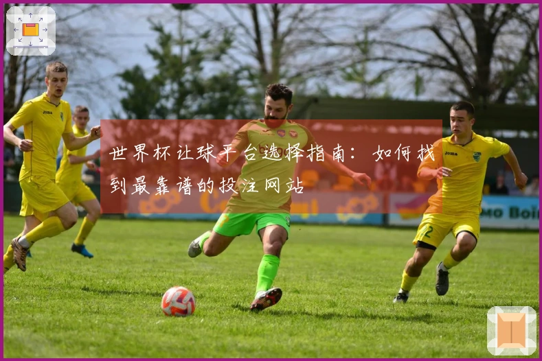 世界杯让球平台选择指南：如何找到最靠谱的投注网站