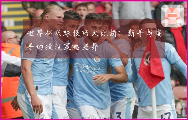 世界杯买球技巧大比拼:新手与高手的投注策略差异