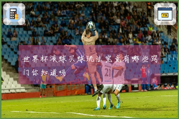 世界杯滚球买球玩法究竟有哪些窍门你知道吗