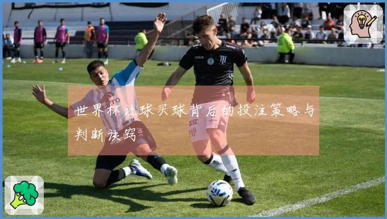 世界杯让球买球背后的投注策略与判断诀窍