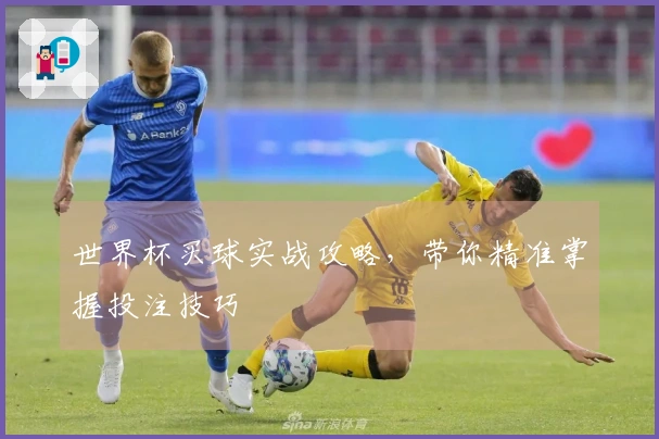 世界杯买球实战攻略，带你精准掌握投注技巧