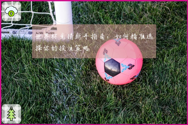 世界杯竞猜新手指南，如何精准选择你的投注策略
