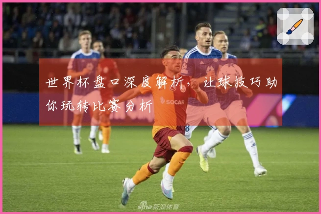 世界杯盘口深度解析，让球技巧助你玩转比赛分析