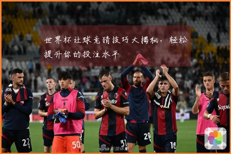 世界杯让球竞猜技巧大揭秘，轻松提升你的投注水平
