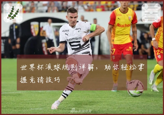 世界杯滚球规则详解，助你轻松掌握竞猜技巧