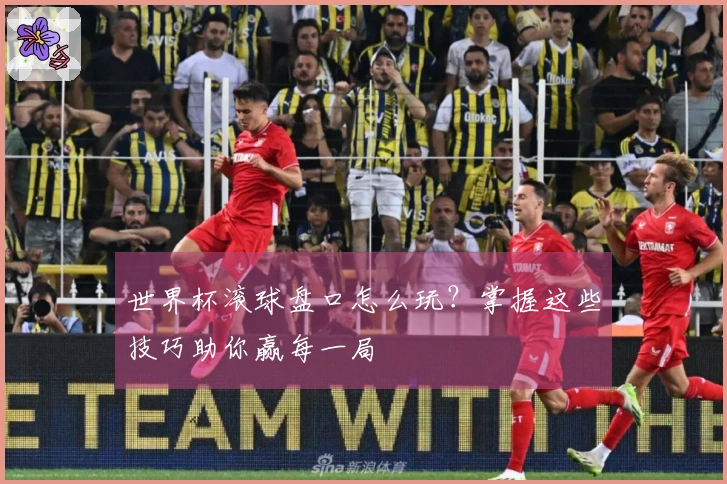 世界杯滚球盘口怎么玩？掌握这些技巧助你赢每一局