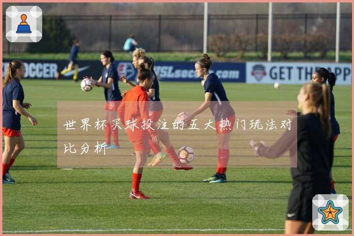 世界杯买球投注的五大热门玩法对比分析