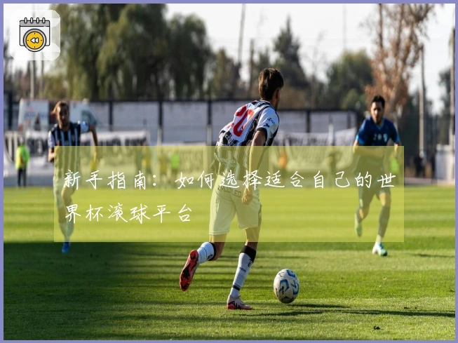 新手指南：如何选择适合自己的世界杯滚球平台