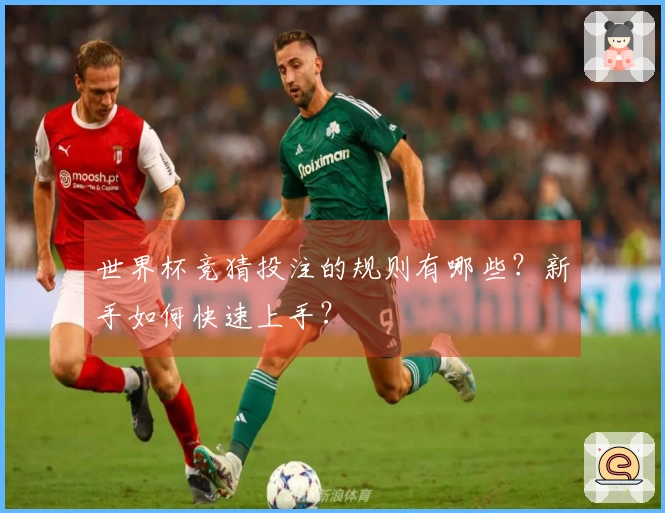 世界杯竞猜投注的规则有哪些？新手如何快速上手？