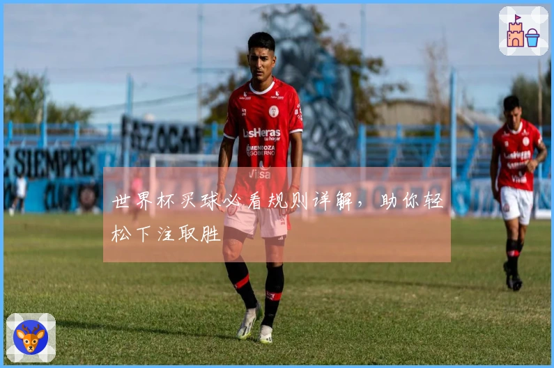 世界杯买球必看规则详解，助你轻松下注取胜