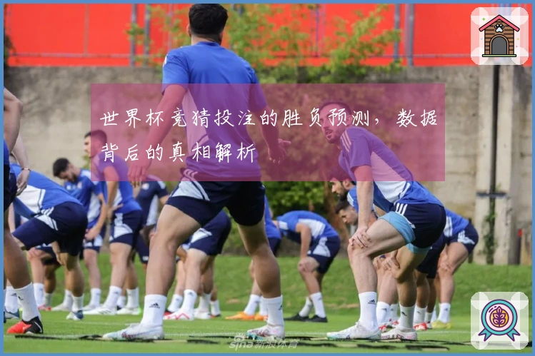 世界杯竞猜投注的胜负预测，数据背后的真相解析